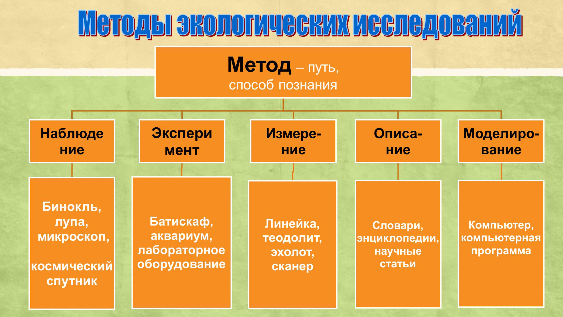 Презентація на тему «Экология как наука» - Слайд #5