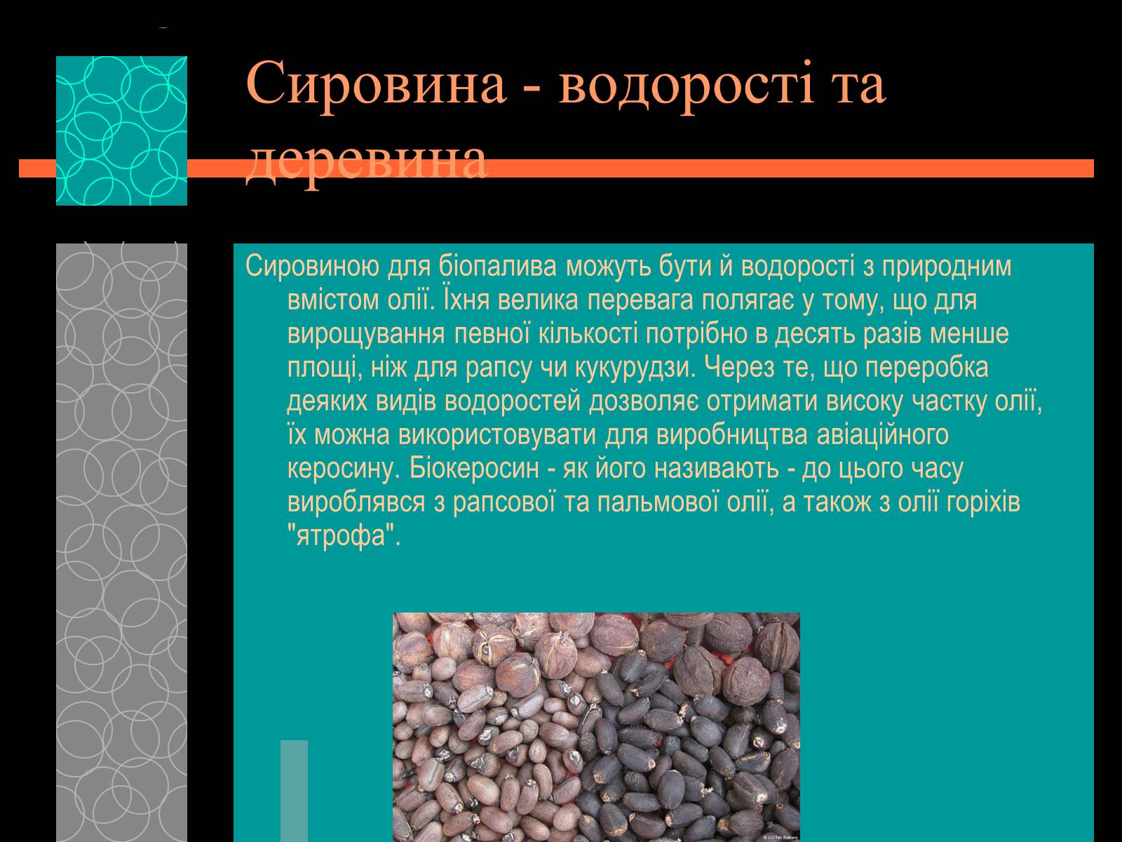 Презентація на тему «Майбутнє альтернативного палива» (варіант 1) - Слайд #10