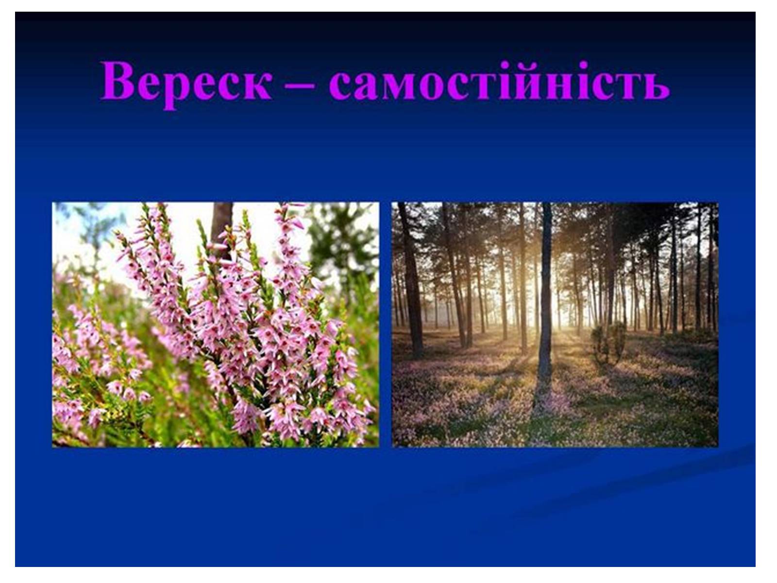 Презентація на тему «Знаємо і шануємо символи свого краю» - Слайд #21