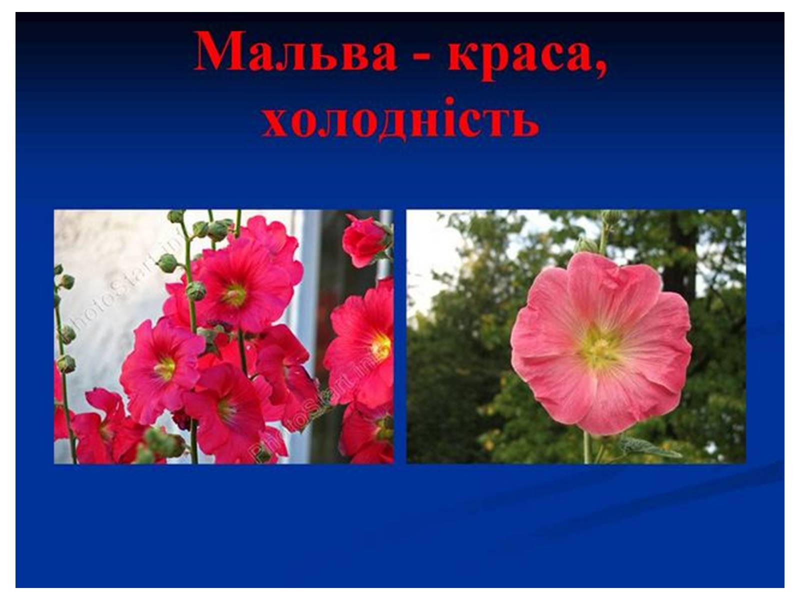 Презентація на тему «Знаємо і шануємо символи свого краю» - Слайд #22