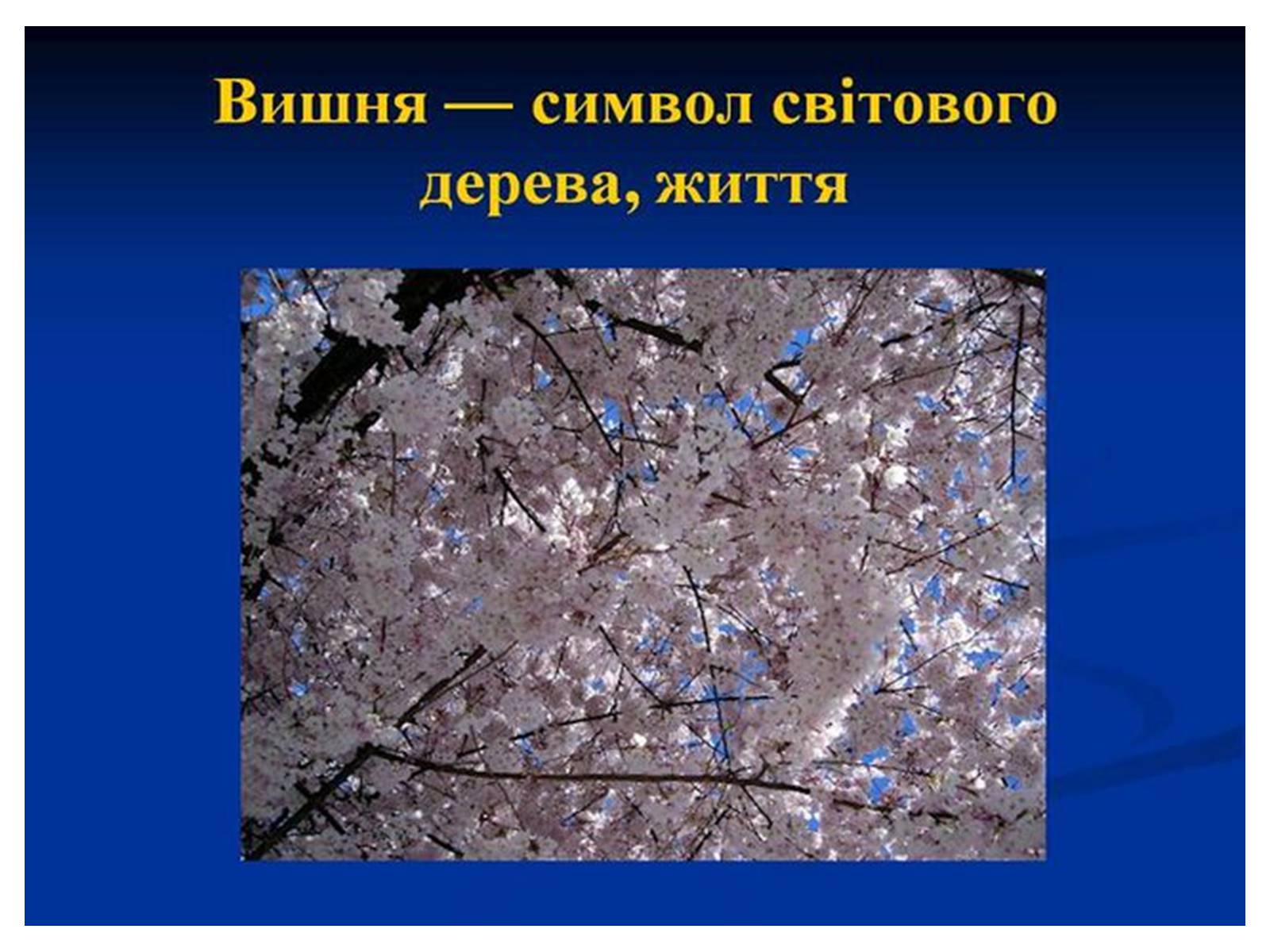 Презентація на тему «Знаємо і шануємо символи свого краю» - Слайд #36