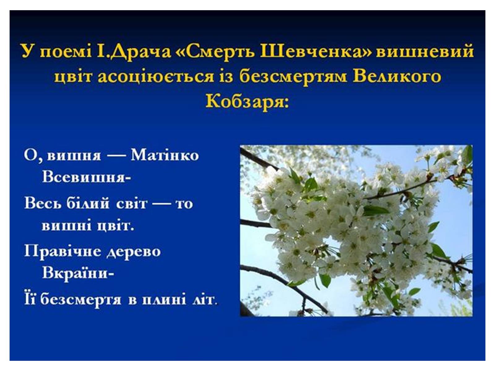 Презентація на тему «Знаємо і шануємо символи свого краю» - Слайд #37