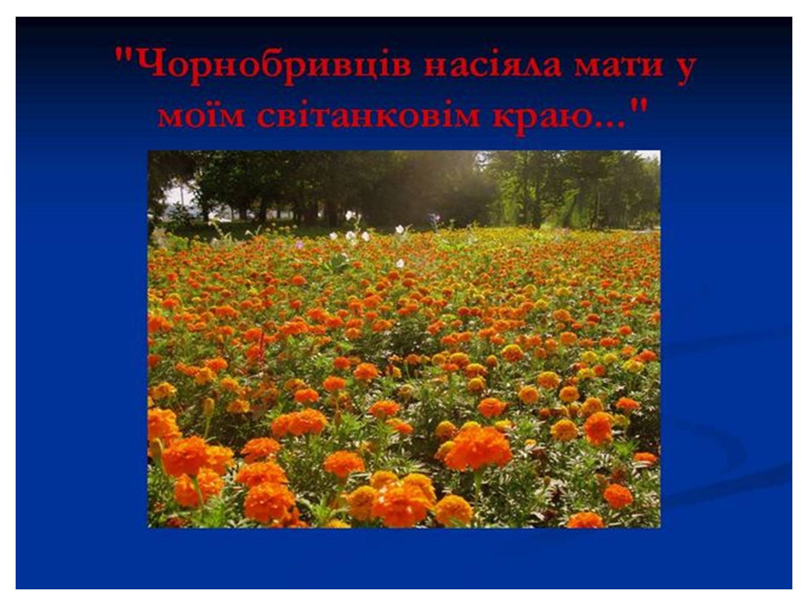 Презентація на тему «Знаємо і шануємо символи свого краю» - Слайд #38