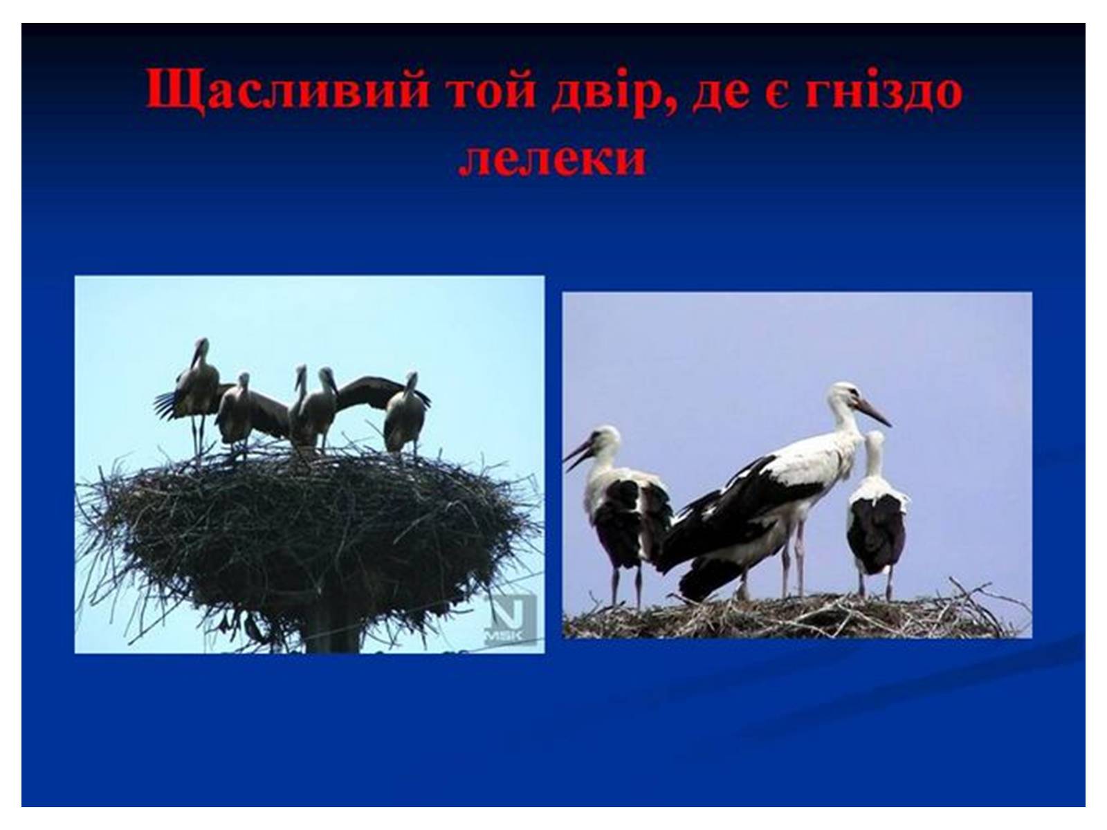 Презентація на тему «Знаємо і шануємо символи свого краю» - Слайд #41