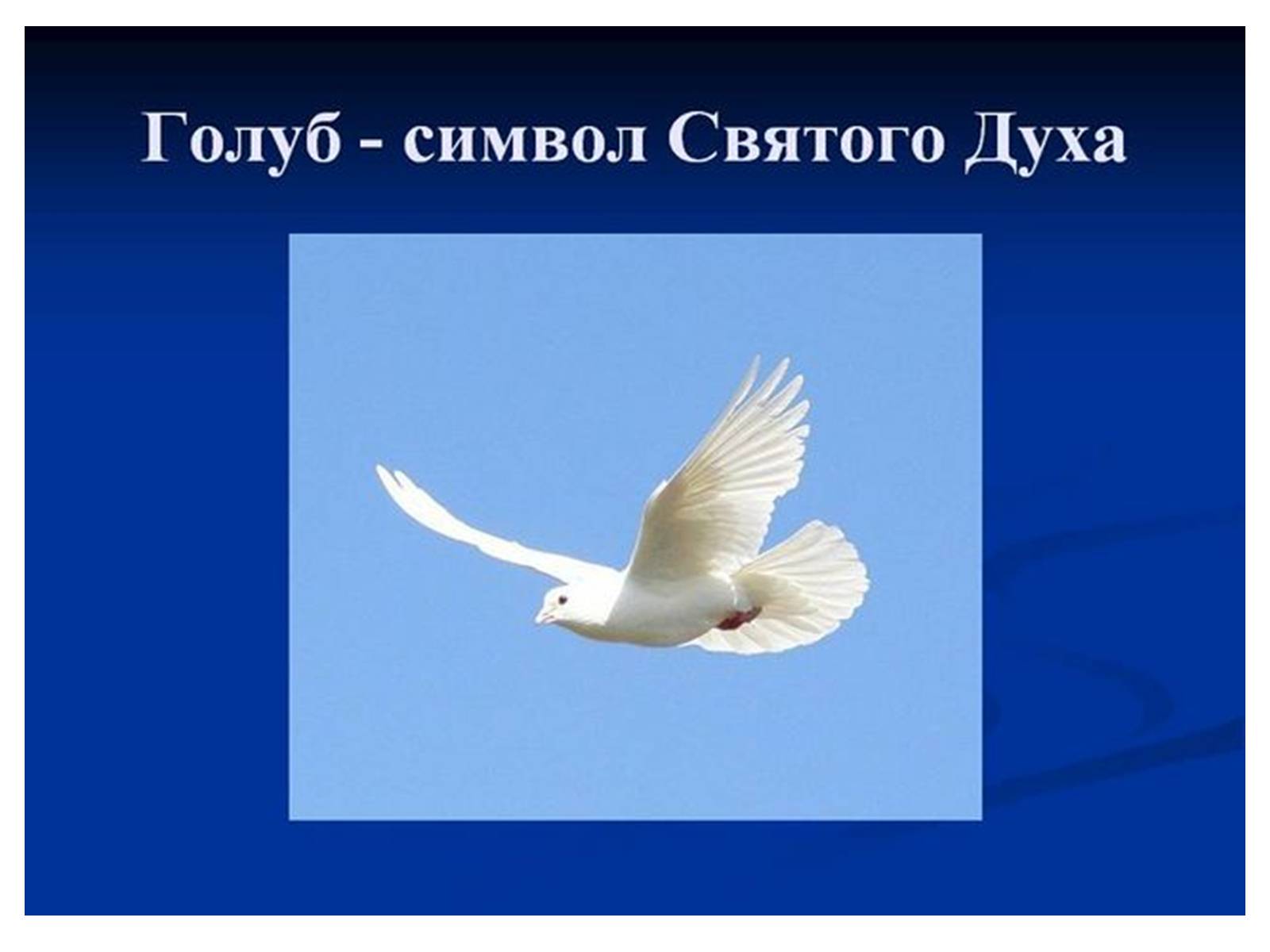 Презентація на тему «Знаємо і шануємо символи свого краю» - Слайд #45