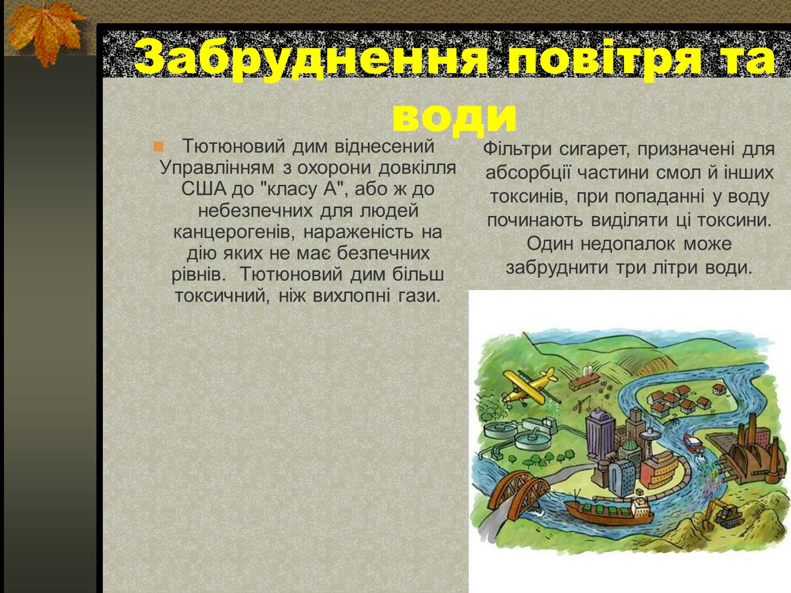 Презентація на тему «Негативний вплив тютюну на довкілля» - Слайд #11