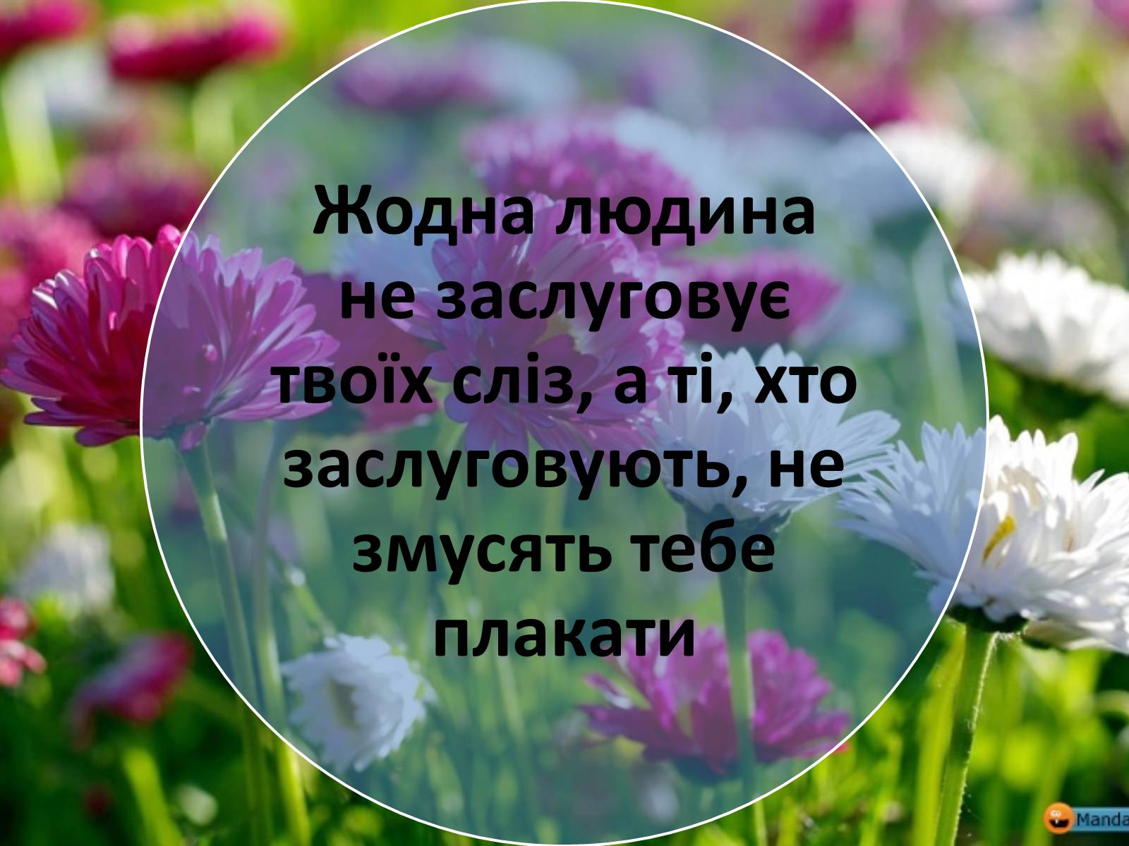 Презентація на тему «Афоризми Ґабрієля Ґарсія Маркеса» - Слайд #4