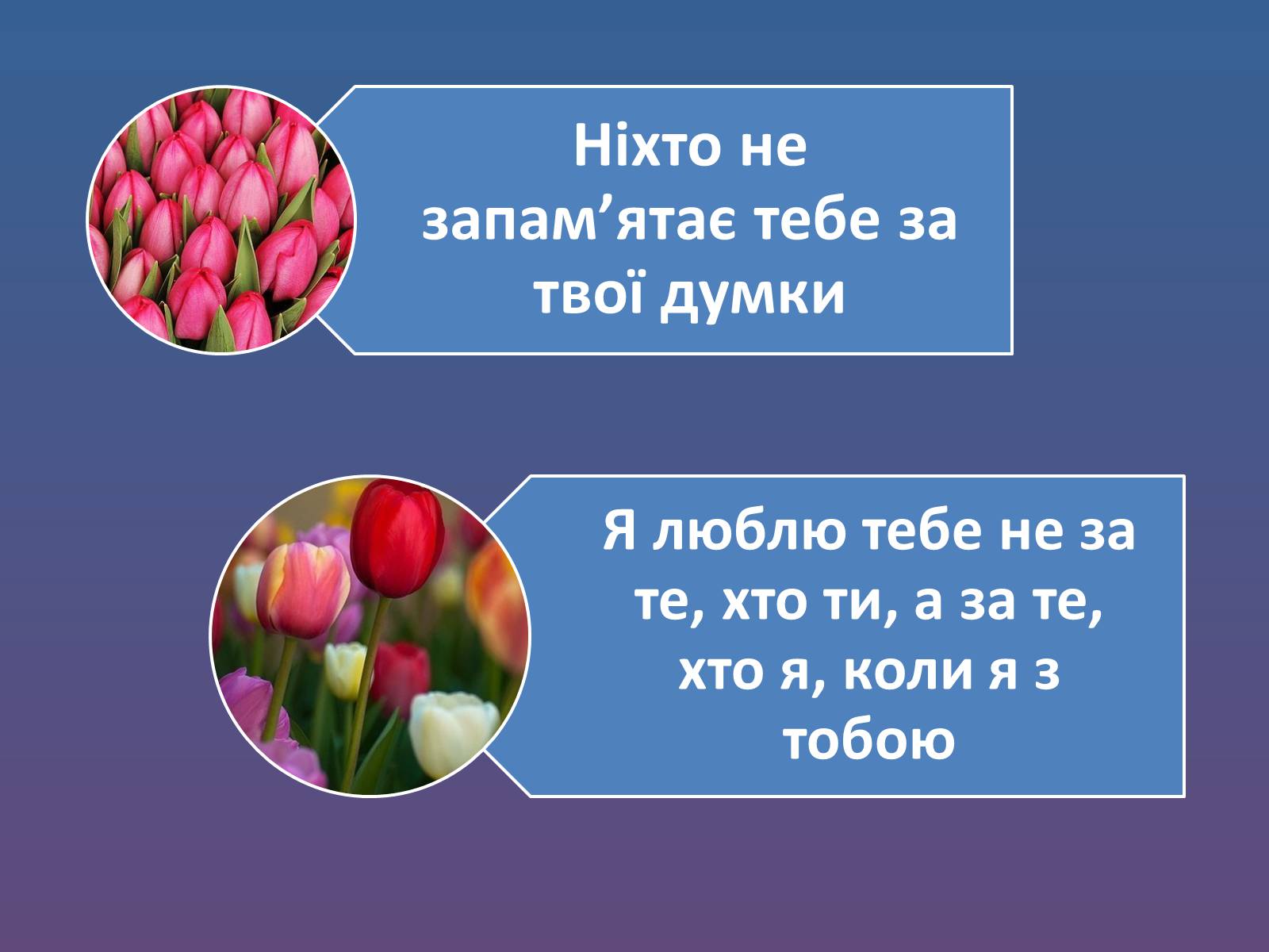 Презентація на тему «Афоризми Ґабрієля Ґарсія Маркеса» - Слайд #6