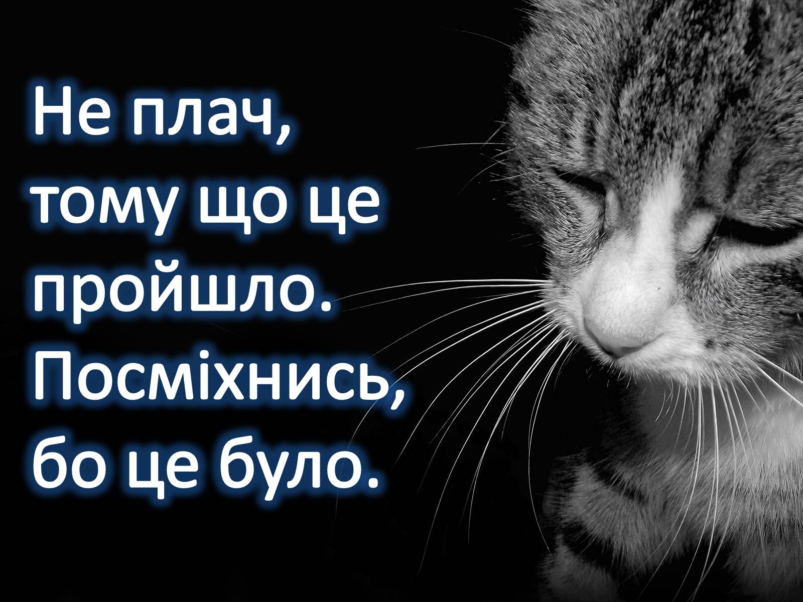 Презентація на тему «Афоризми Ґабрієля Ґарсія Маркеса» - Слайд #7