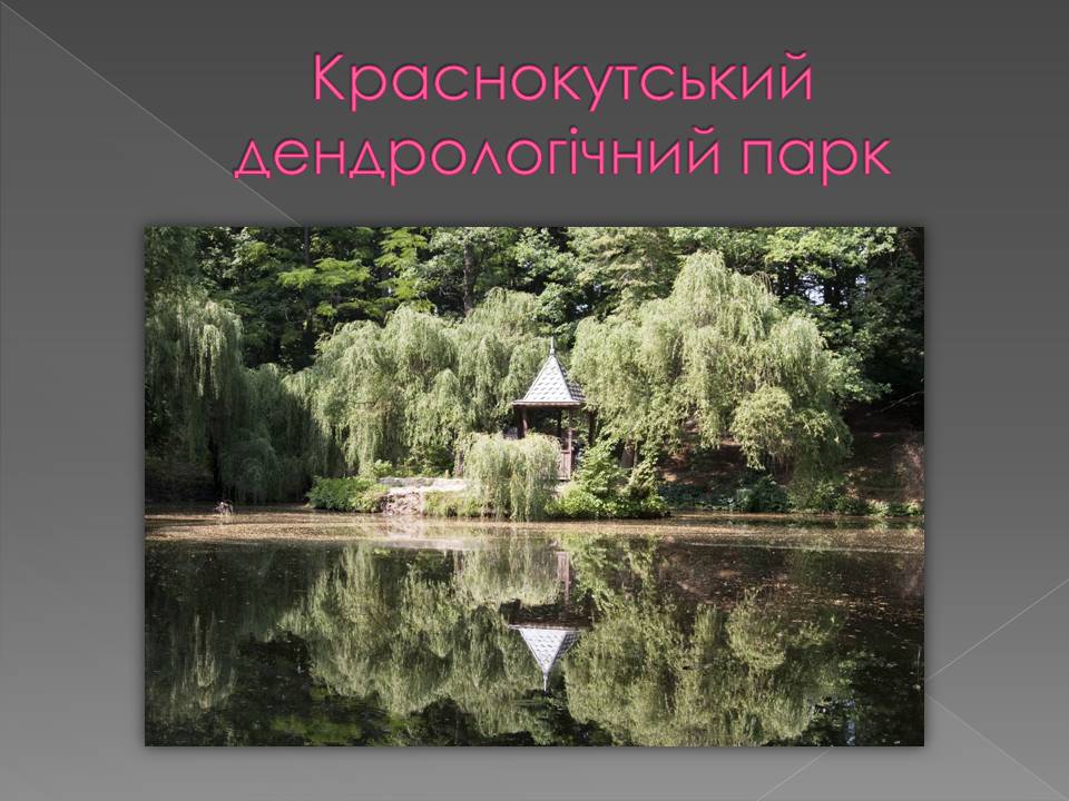 Презентація на тему «Основні категорії заповідних об&#8217;єктів» (варіант 3) - Слайд #12