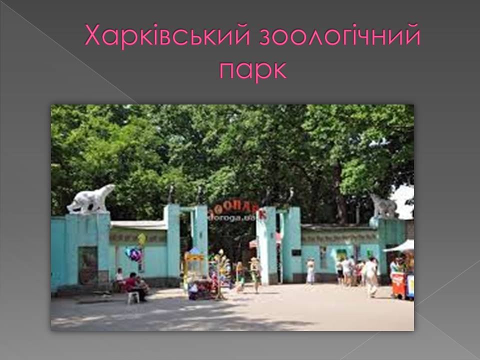 Презентація на тему «Основні категорії заповідних об&#8217;єктів» (варіант 3) - Слайд #15