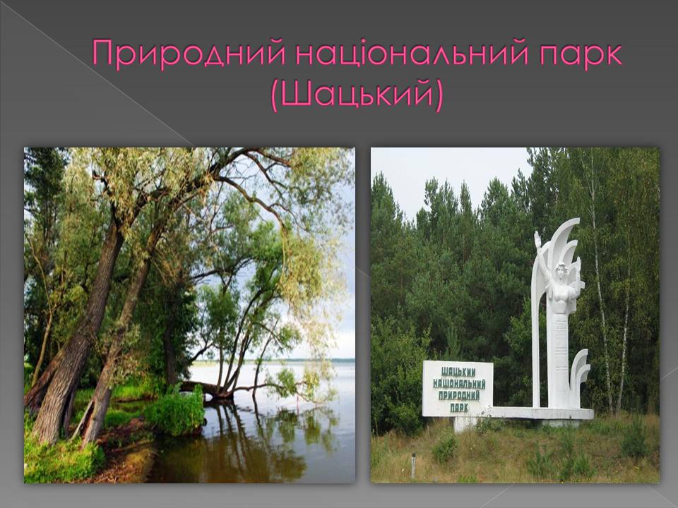 Презентація на тему «Основні категорії заповідних об&#8217;єктів» (варіант 3) - Слайд #2