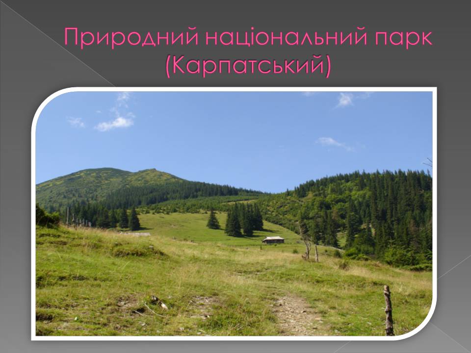 Презентація на тему «Основні категорії заповідних об&#8217;єктів» (варіант 3) - Слайд #3