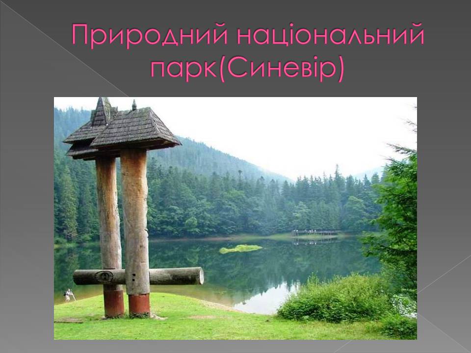 Презентація на тему «Основні категорії заповідних об&#8217;єктів» (варіант 3) - Слайд #4