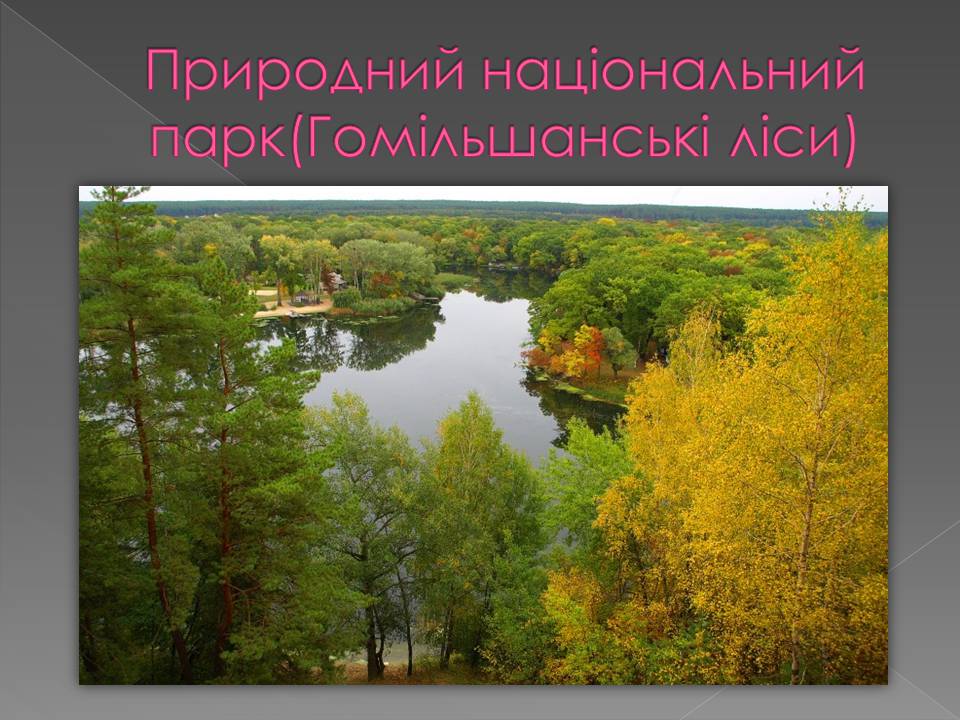 Презентація на тему «Основні категорії заповідних об&#8217;єктів» (варіант 3) - Слайд #5