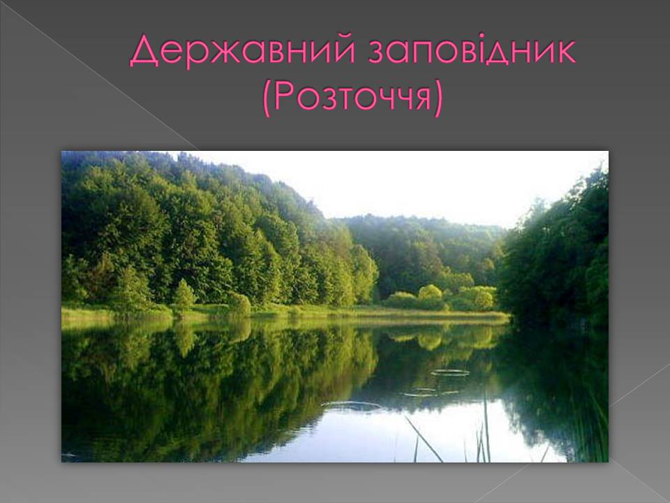 Презентація на тему «Основні категорії заповідних об&#8217;єктів» (варіант 3) - Слайд #6