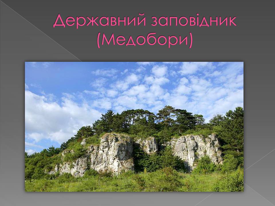 Презентація на тему «Основні категорії заповідних об&#8217;єктів» (варіант 3) - Слайд #7