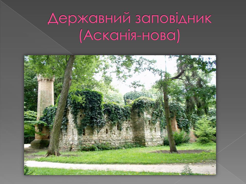 Презентація на тему «Основні категорії заповідних об&#8217;єктів» (варіант 3) - Слайд #8