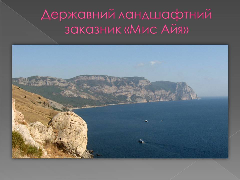 Презентація на тему «Основні категорії заповідних об&#8217;єктів» (варіант 3) - Слайд #9