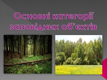 Презентація на тему «Основні категорії заповідних об&#8217;єктів» (варіант 3)