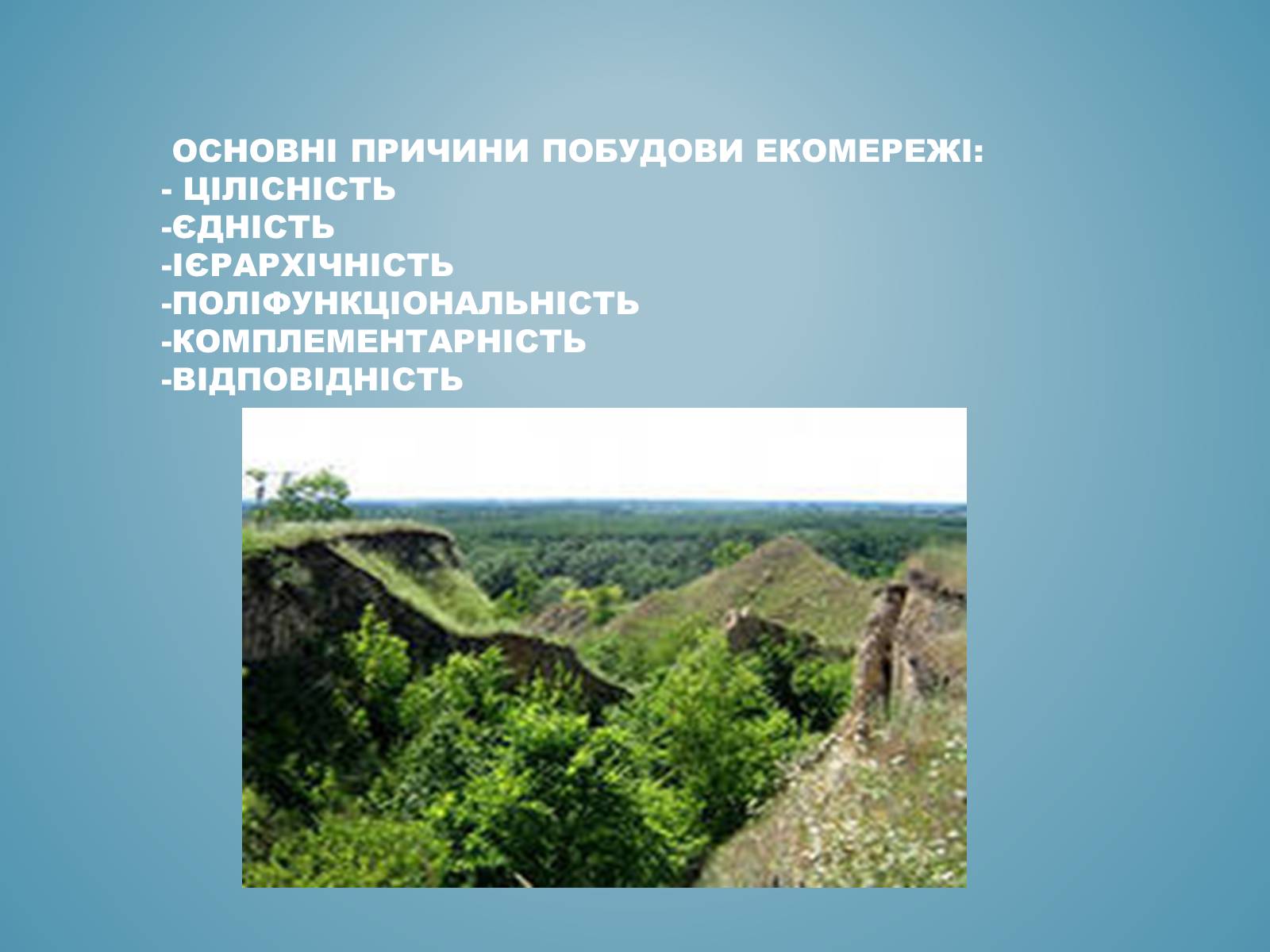 Презентація на тему «Основні категорії заповітних об&#8217;єктів.Уявлення про екомережі» - Слайд #4