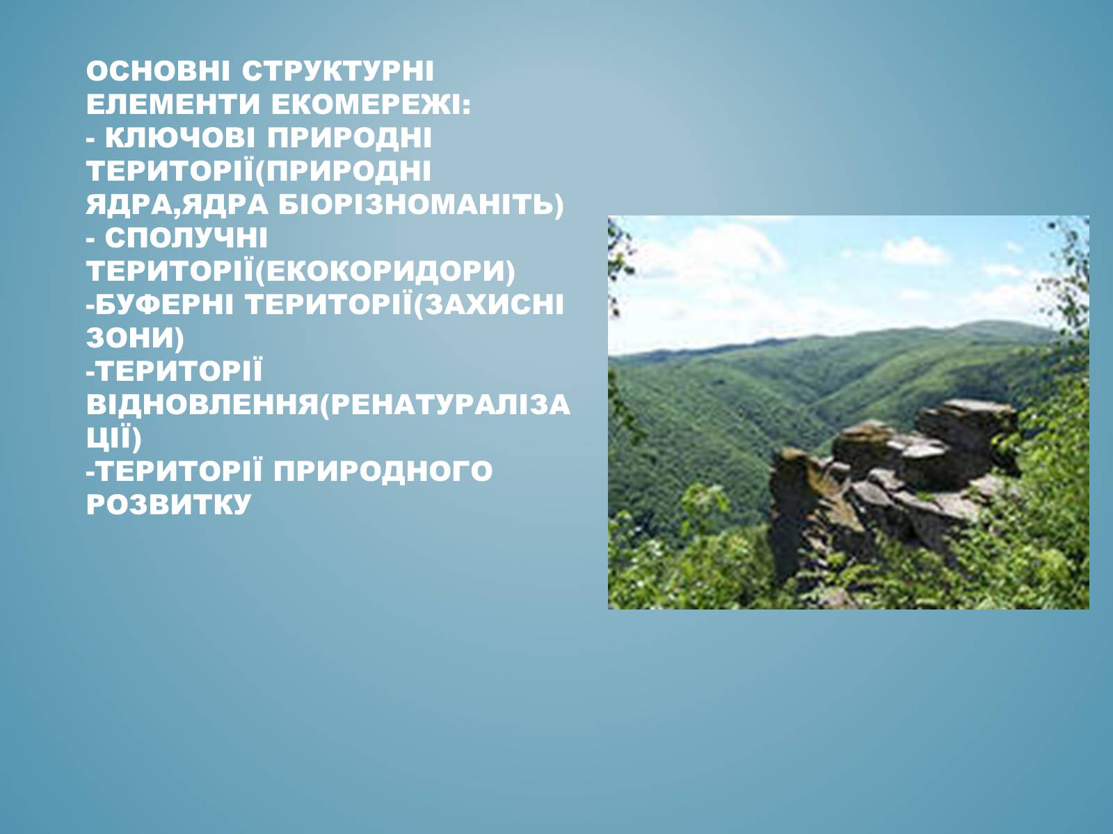 Презентація на тему «Основні категорії заповітних об&#8217;єктів.Уявлення про екомережі» - Слайд #5