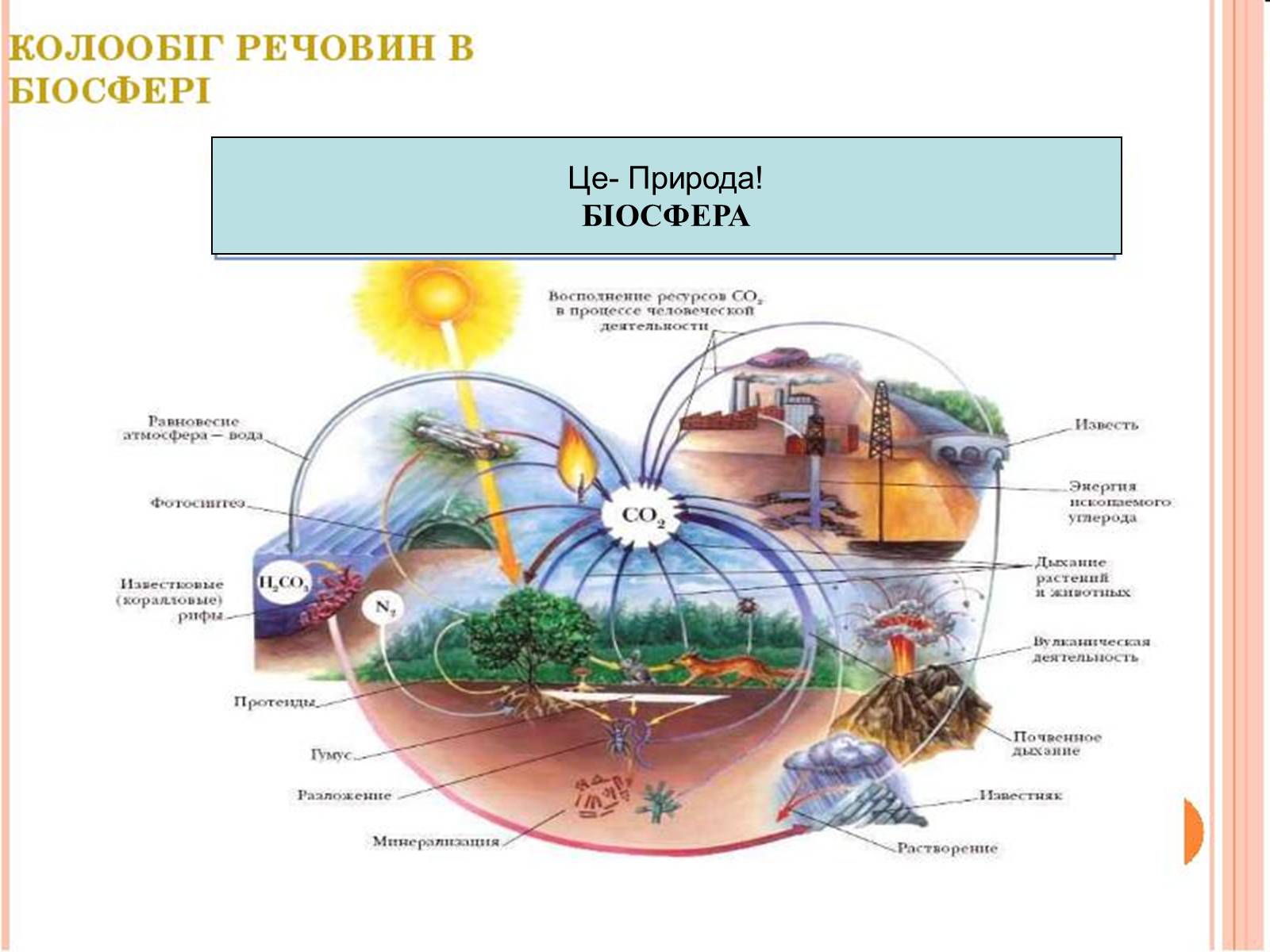 Презентація на тему «Біосфера» (варіант 5) - Слайд #8