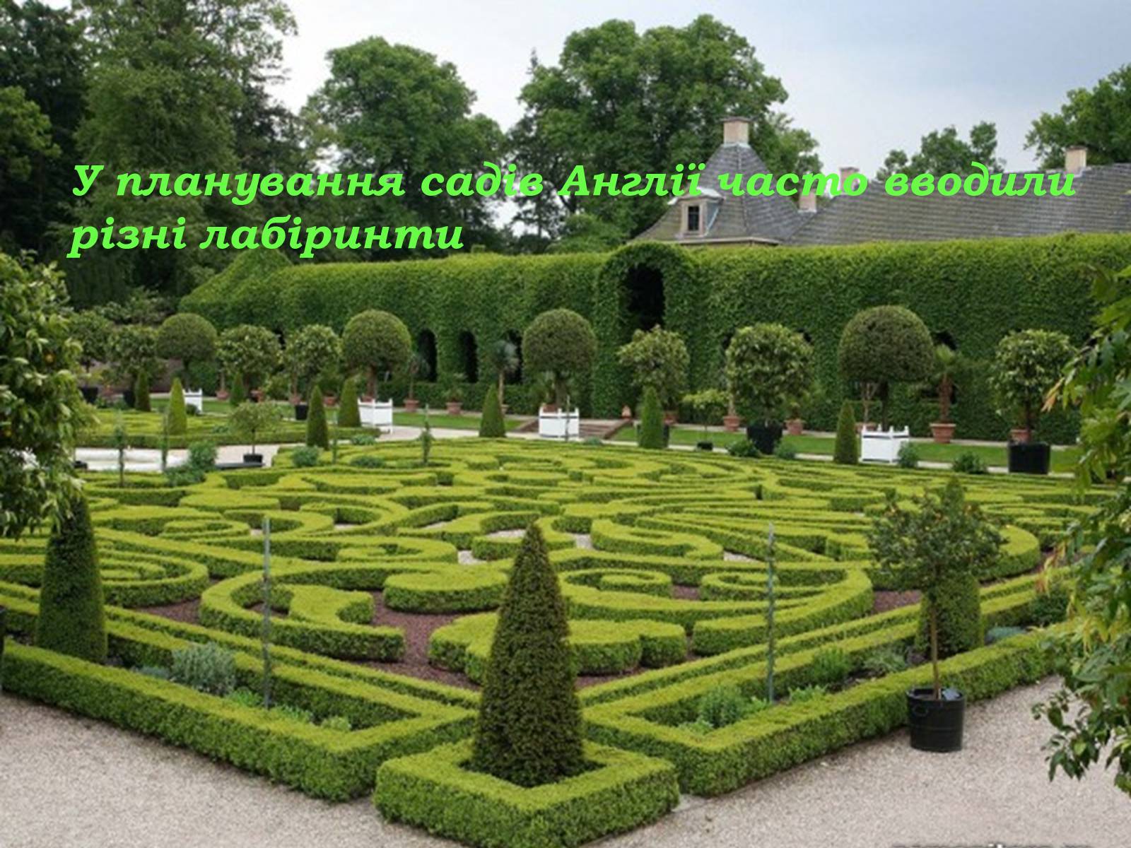 Презентація на тему «Паркова культура» (варіант 11) - Слайд #11 Презентація на тему «Паркова культура» (варіант 11) - Слайд #11