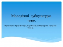 Презентація на тему «Молодіжні субкультури» (варіант 8)