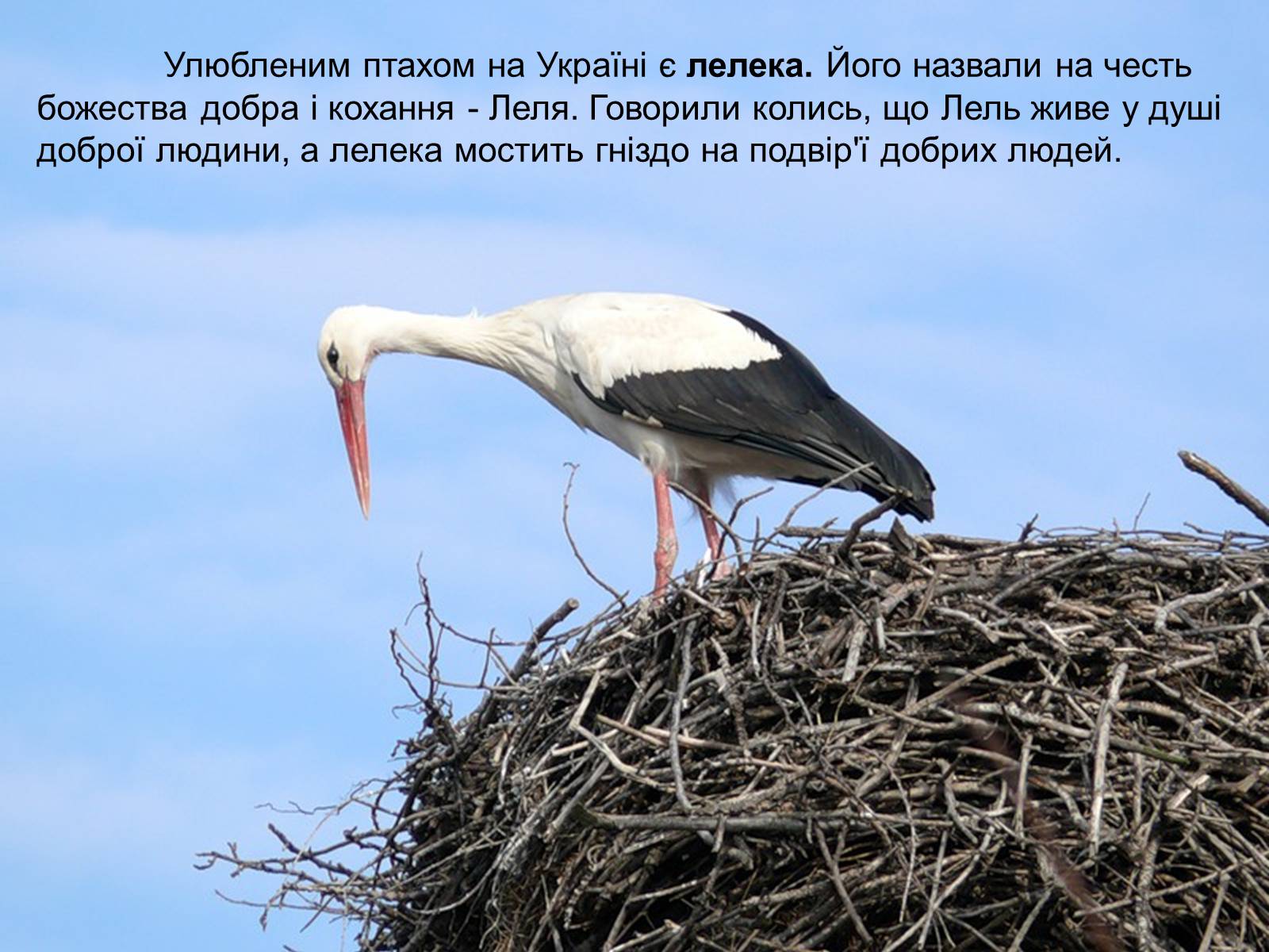 Презентація на тему «Народні символи України» (варіант 1) - Слайд #16