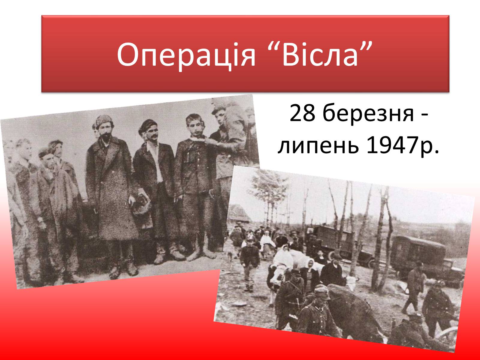 Презентація на тему «Операція “Вісла”» - Слайд #1