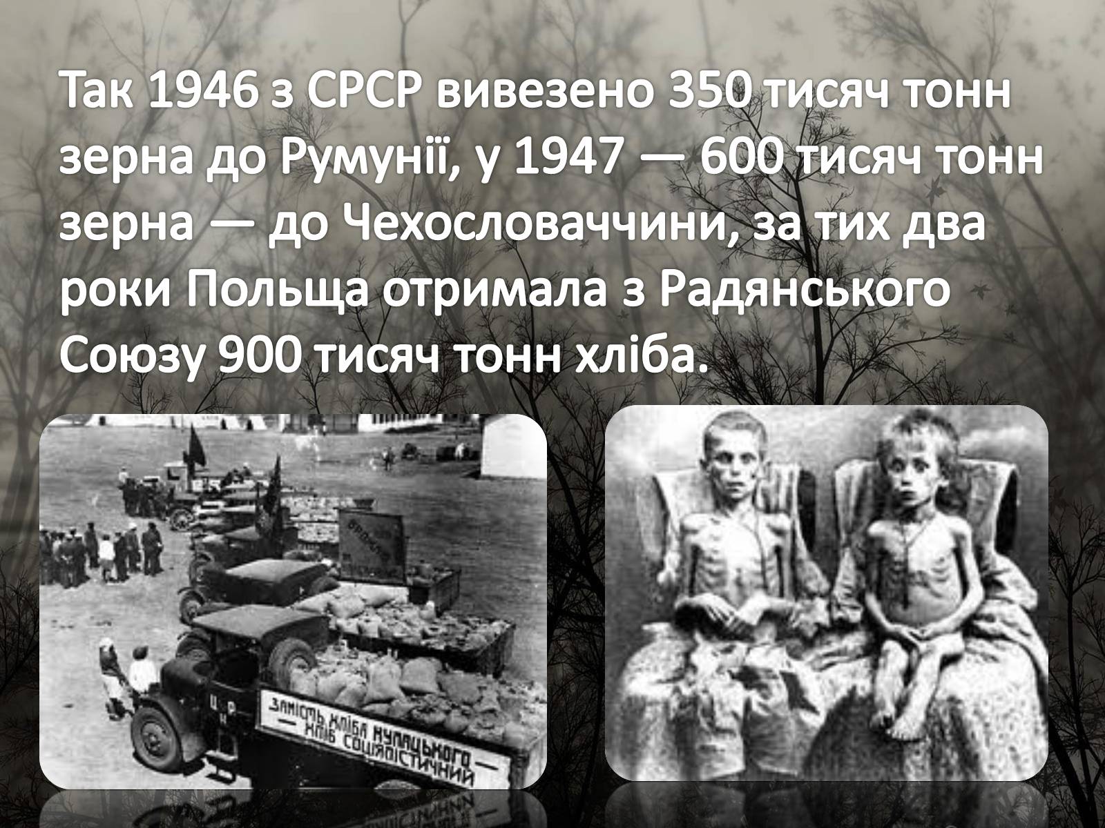 Презентація на тему «Голодомор 1946-1947 років» (варіант 5) - Слайд #3