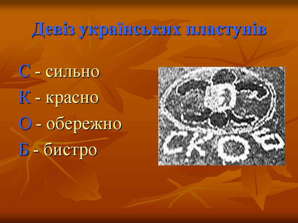 Презентація на тему ««Пласт» – героїчне минуле України чи світле майбутнє» - Слайд #10