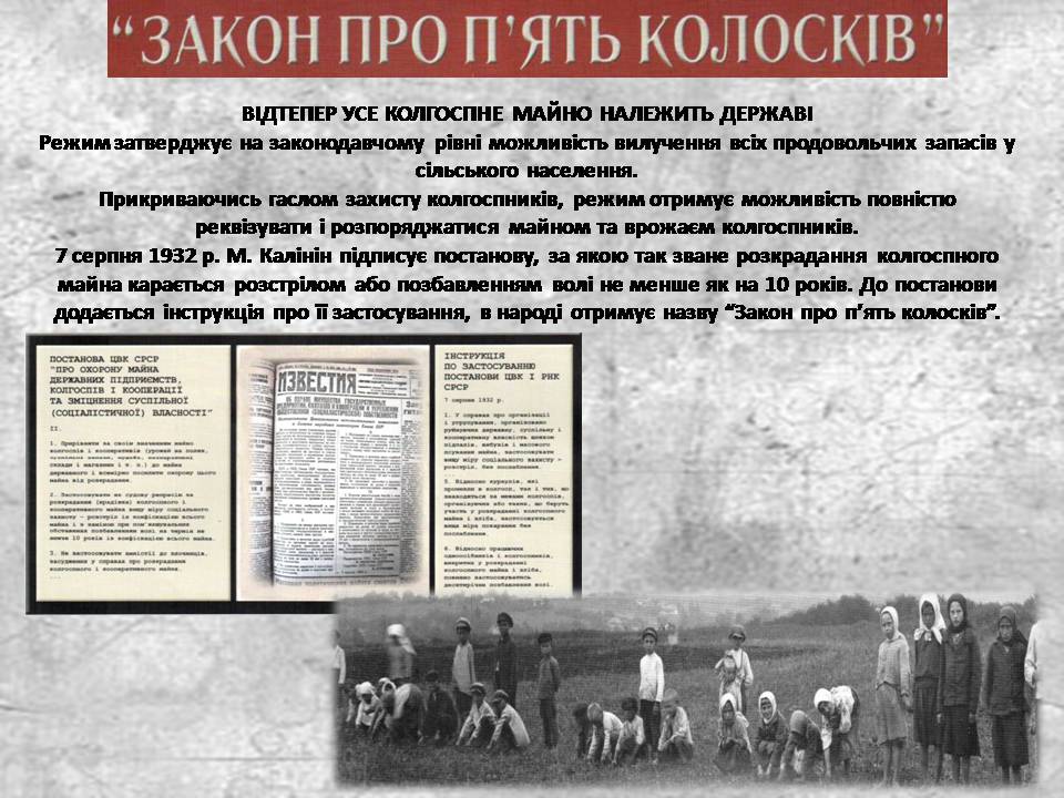 Презентація на тему «Голодомор 1932-1933 років» (варіант 3) - Слайд #9