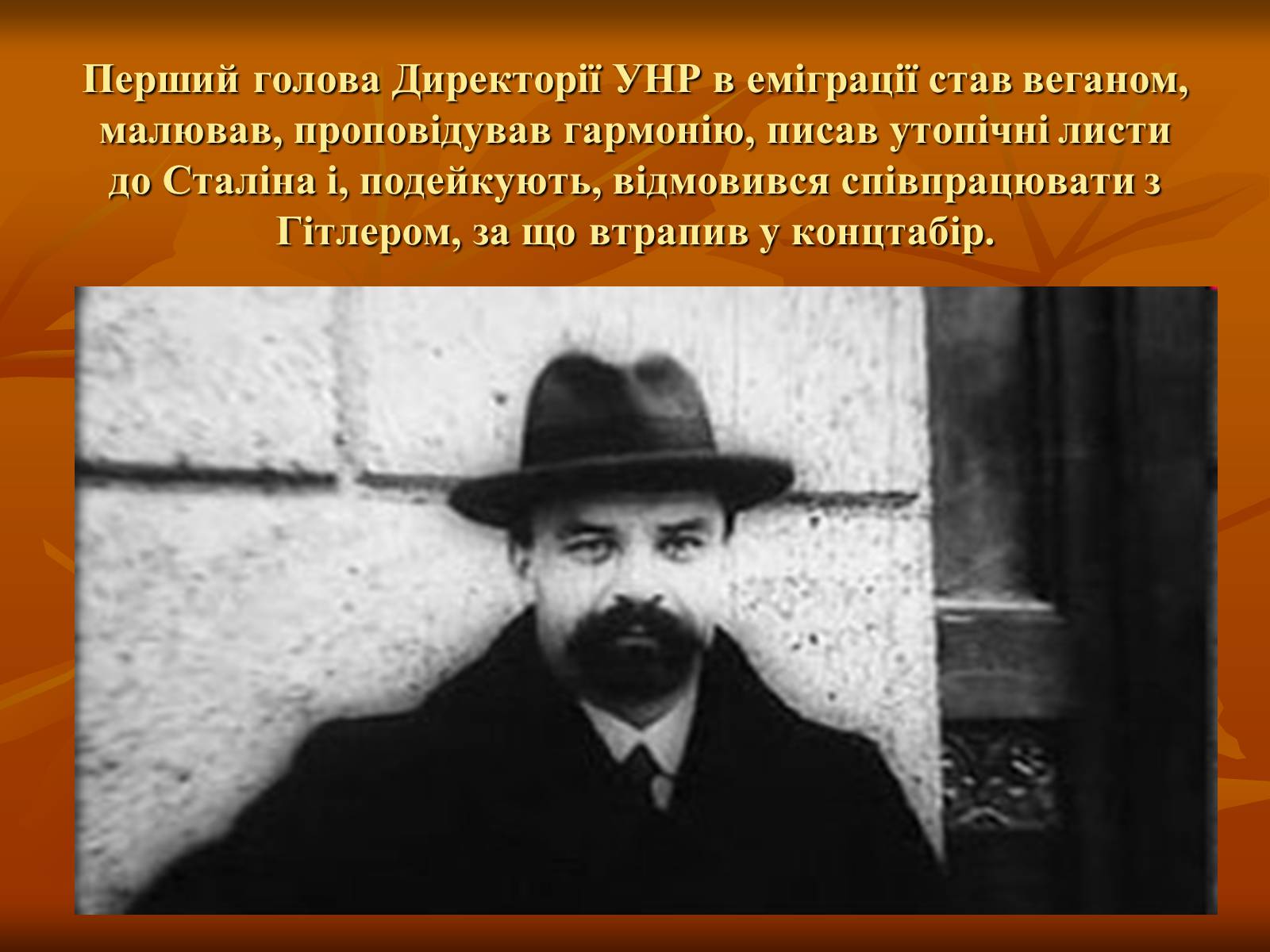 Презентація на тему «Діяльність Володимира Винниченка» - Слайд #13