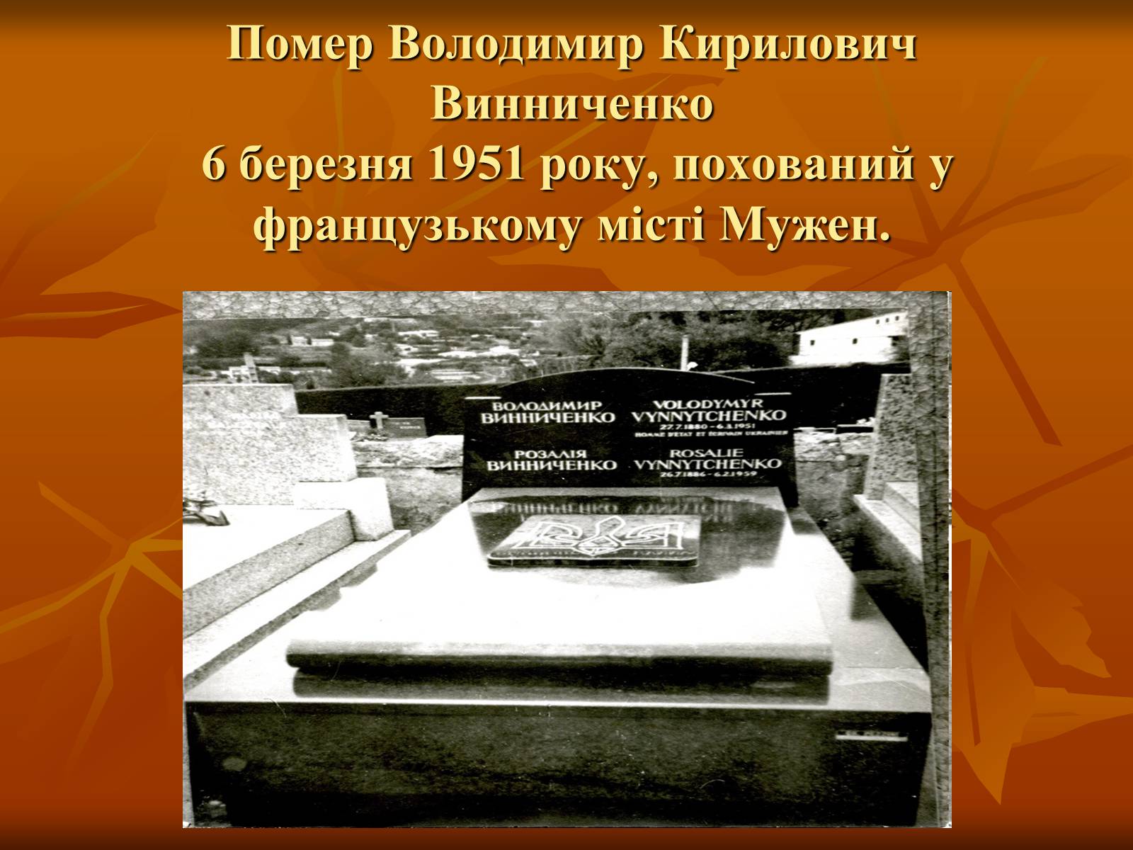 Презентація на тему «Діяльність Володимира Винниченка» - Слайд #14