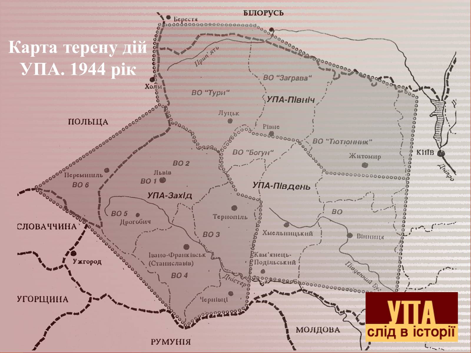 Презентація на тему «УПА у роки Другої світової війни» - Слайд #12