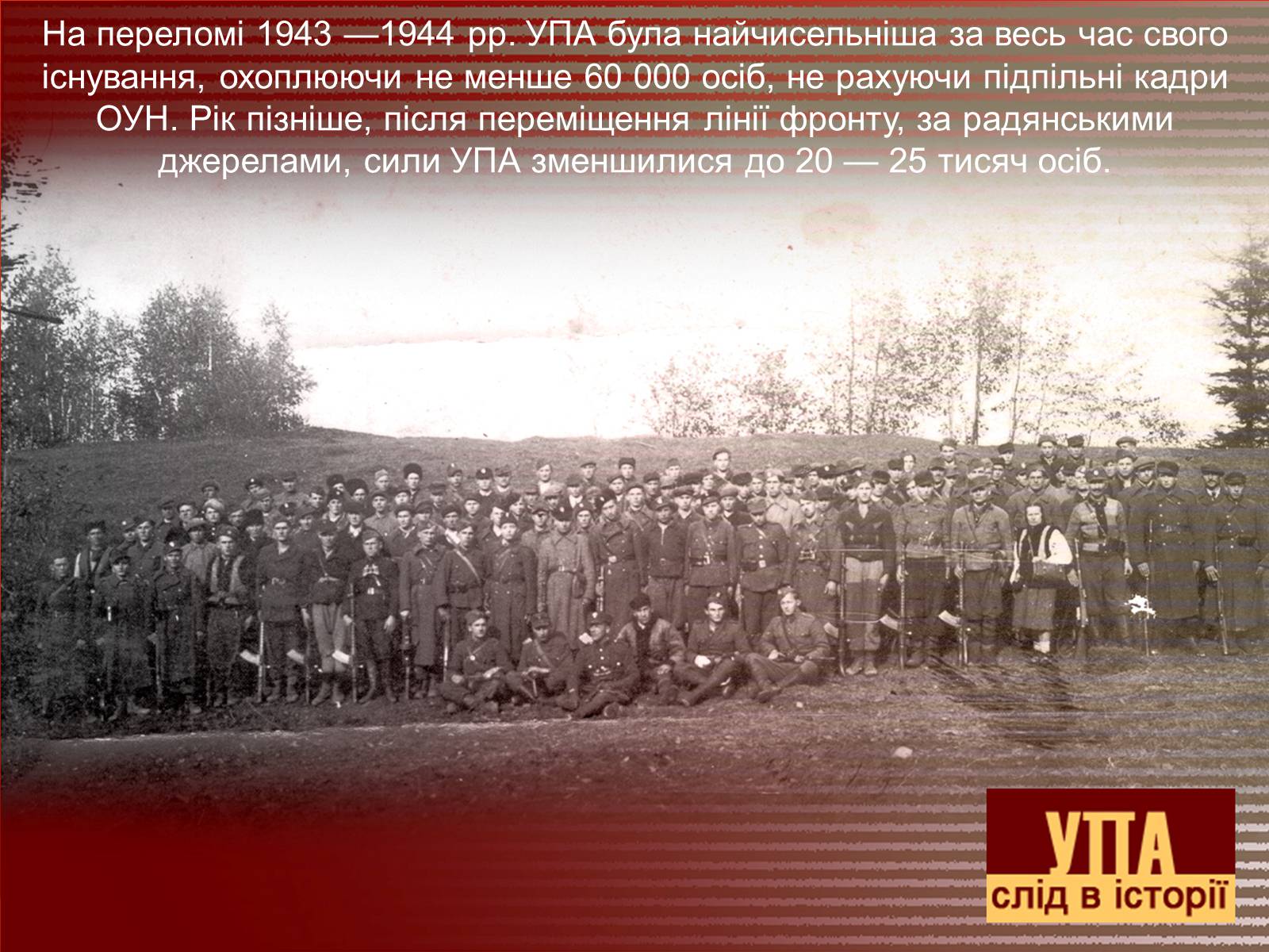 Презентація на тему «УПА у роки Другої світової війни» - Слайд #13