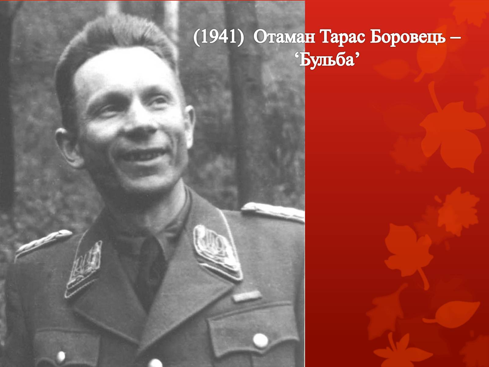 Презентація на тему «УПА у роки Другої світової війни» - Слайд #2