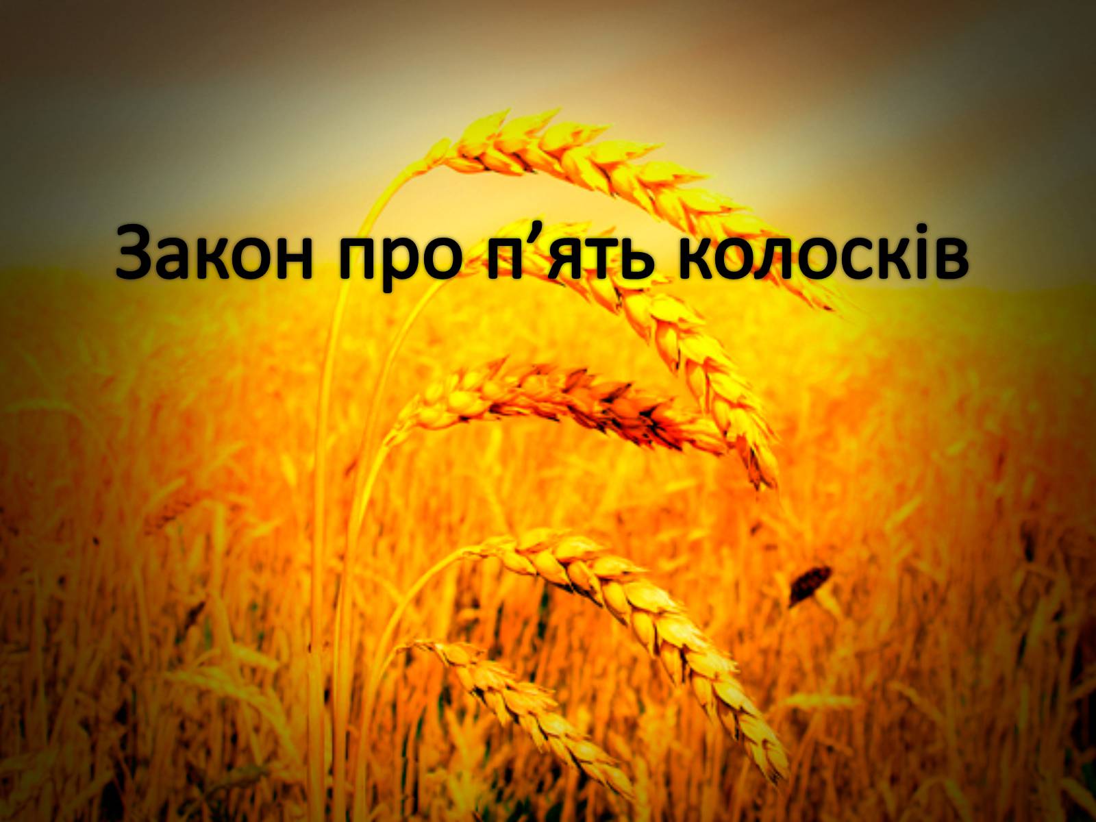 Презентація на тему «Закон про п&#8217;ять колосків» - Слайд #1