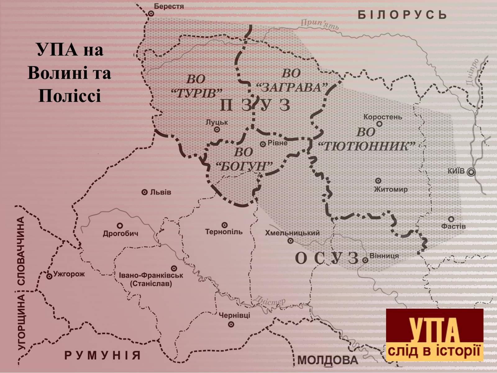 Презентація на тему «УПА» (варіант 2) - Слайд #6