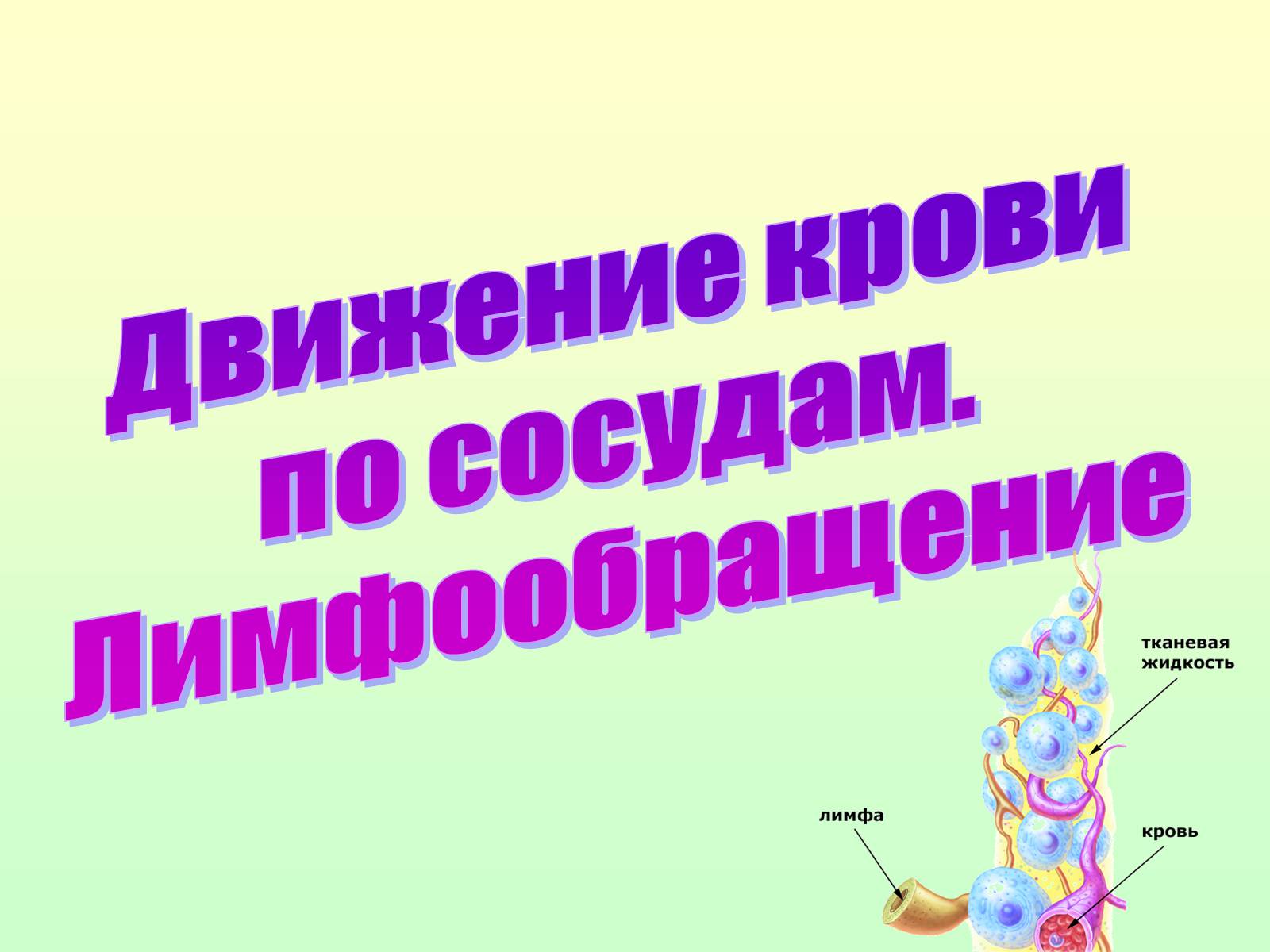 Презентація на тему «Движение крови по сосудам. Лимфообращение» - Слайд #1