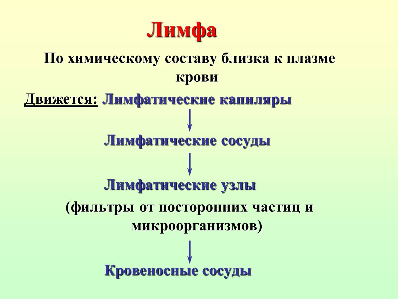 Лимфа это простыми словами. Лимфа. Лимфа презентация. Из чего состоит лимфа. Лимфа по химическому составу.