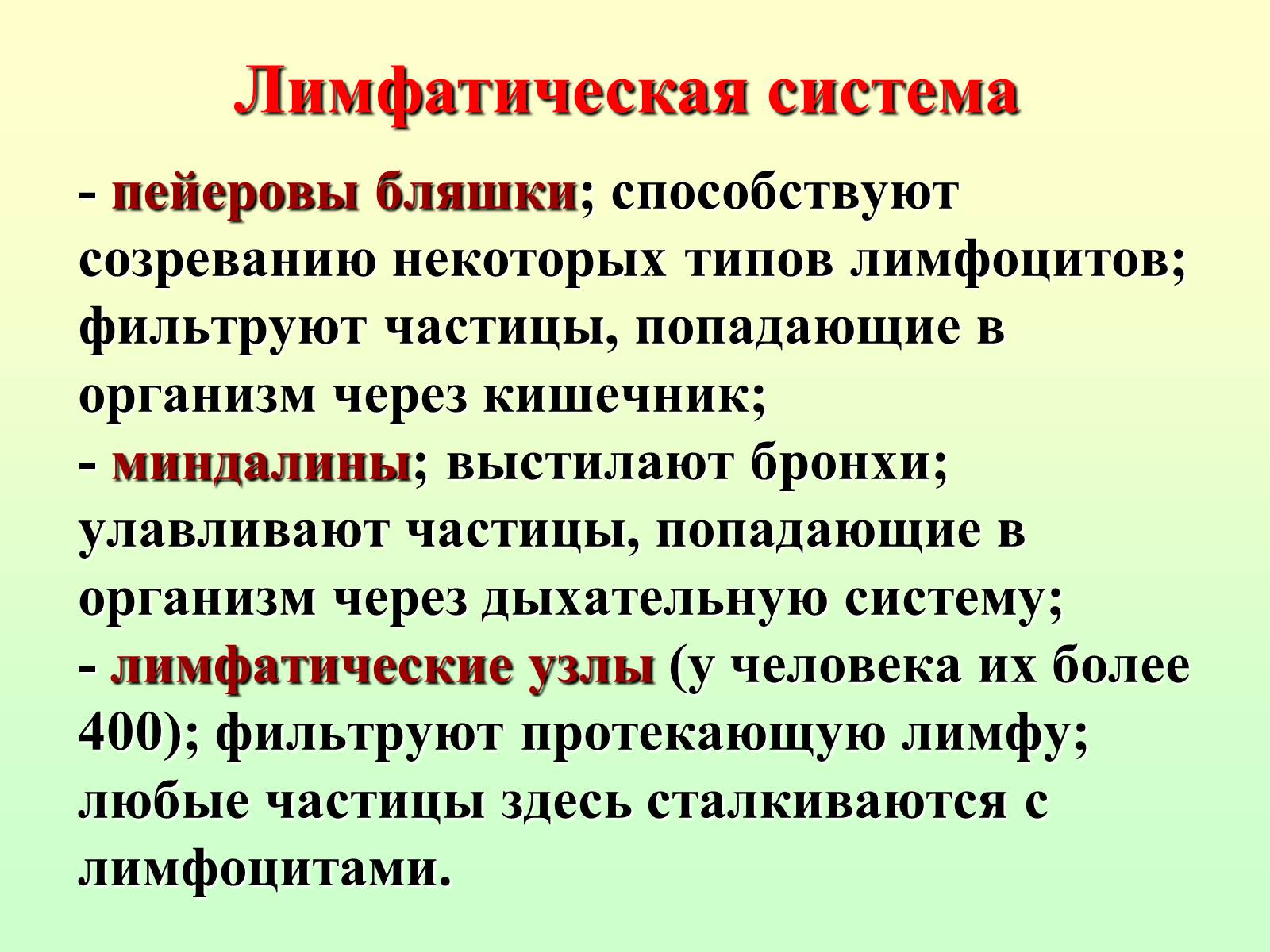 Презентація на тему «Движение крови по сосудам. Лимфообращение» - Слайд #21