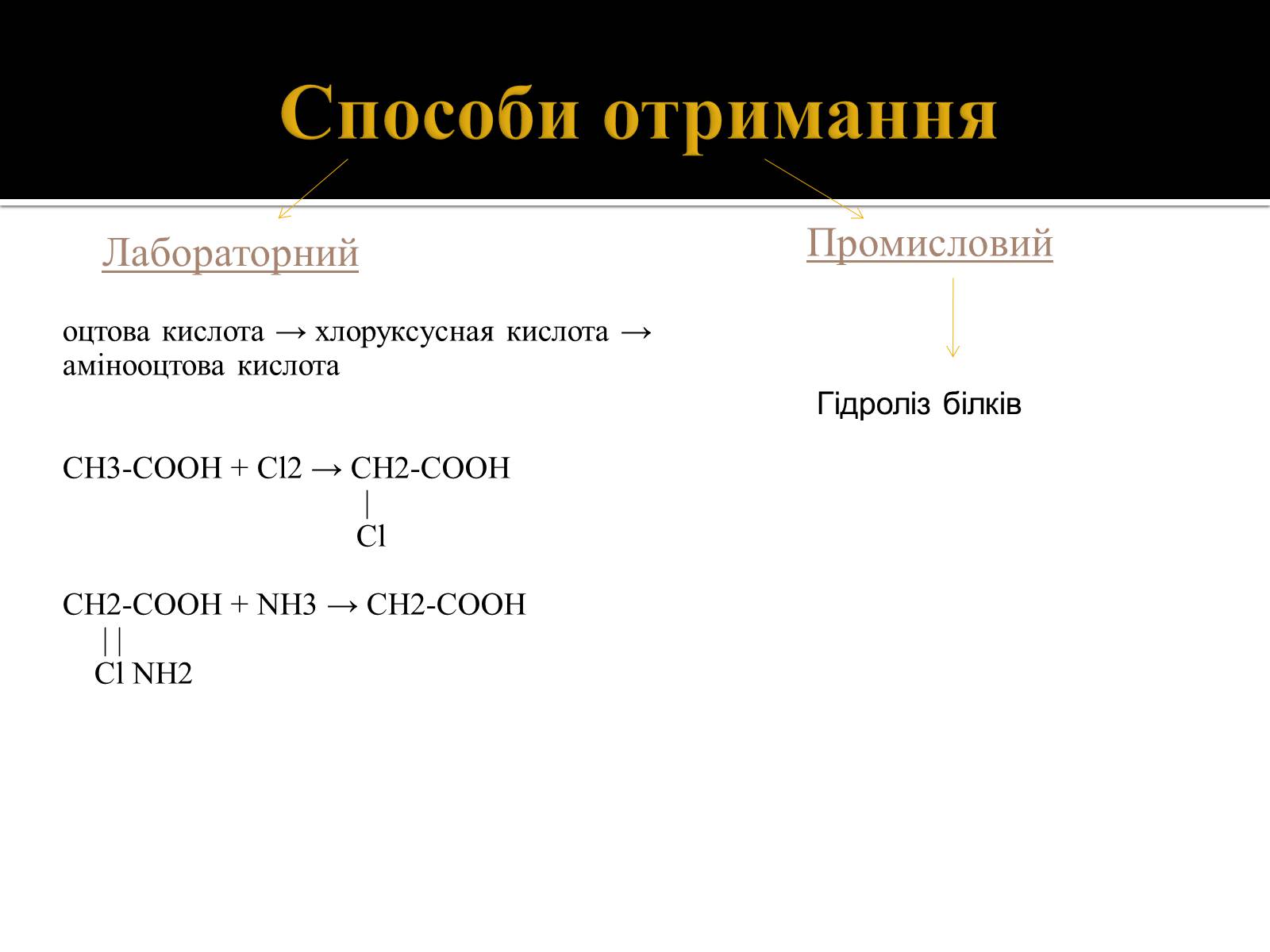 Презентація на тему «Амінокислоти. Історія їх відкриття» - Слайд #12