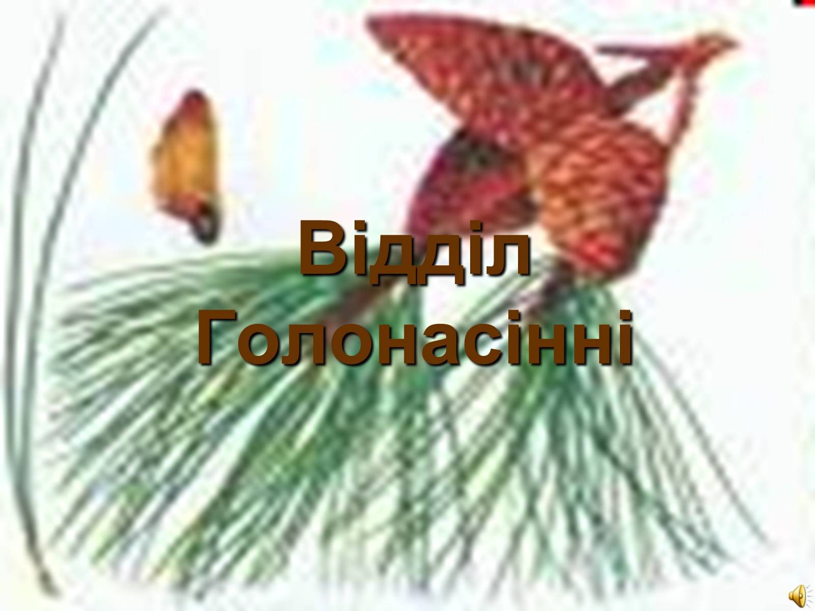 Презентація на тему «Відділ Голонасінні» - Слайд #1