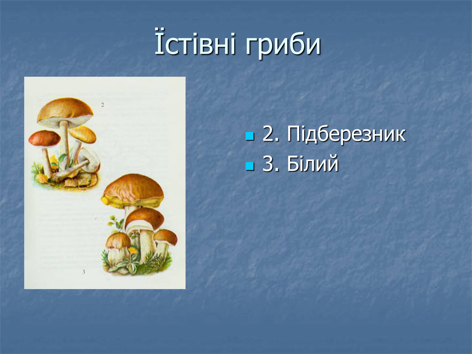 Презентація на тему «Основи безпеки харчування» - Слайд #23