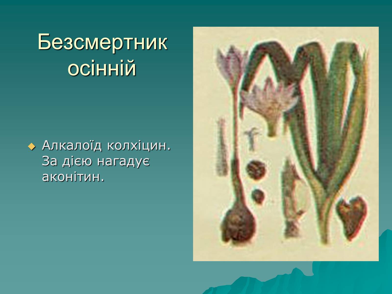 Презентація на тему «Основи безпеки харчування» - Слайд #28