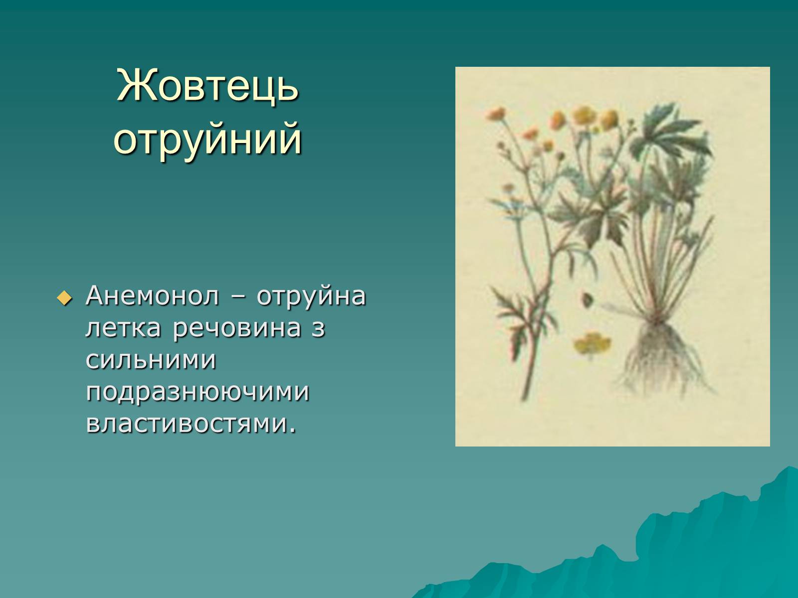 Презентація на тему «Основи безпеки харчування» - Слайд #32