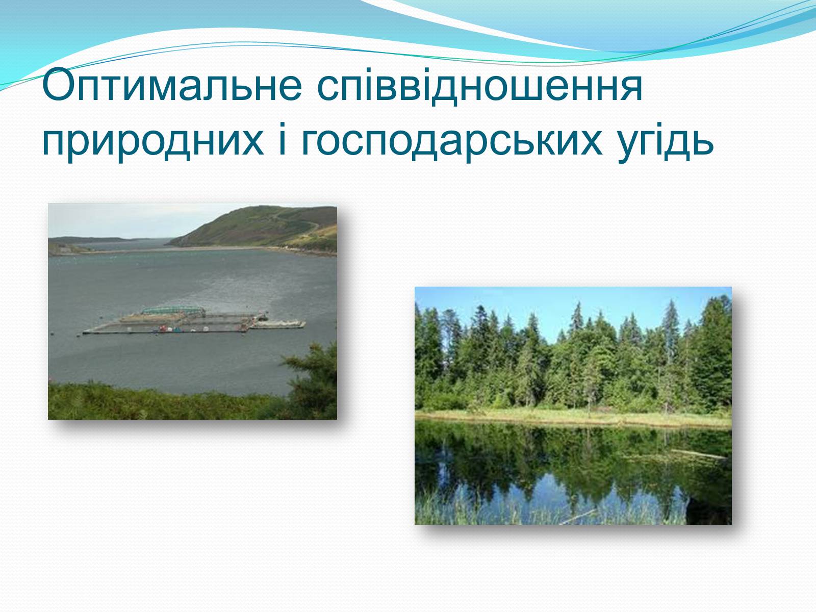 Презентація на тему «Категорія «оптимізація». Критерії та пріоритети ландшафтно-екологічної оптимізації території» - Слайд #11